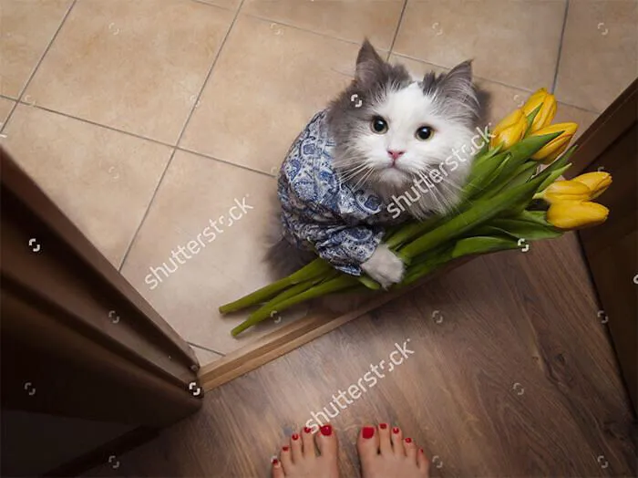 Weirdly Cute