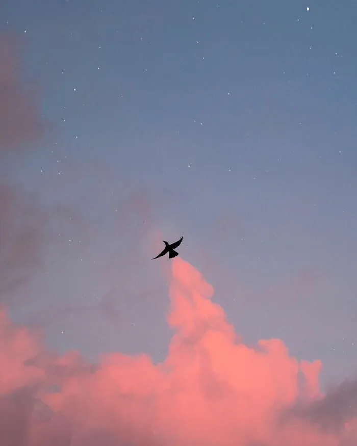 Artist Puts Silhouettes Next To Clouds To Create These Stunning Compositions (21 Pics)