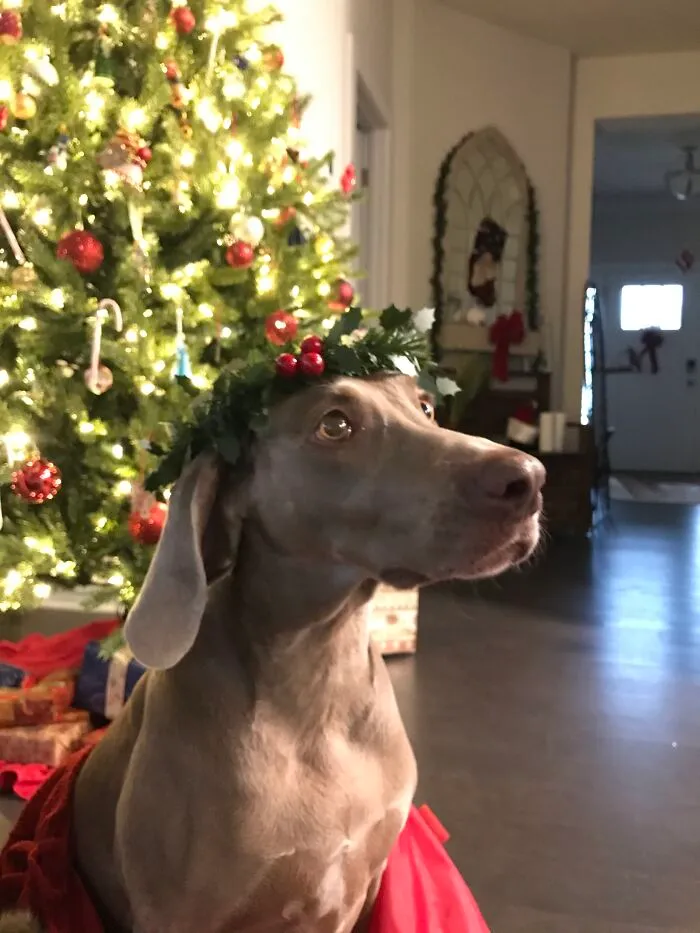 Peppers Photo Shoot This Year