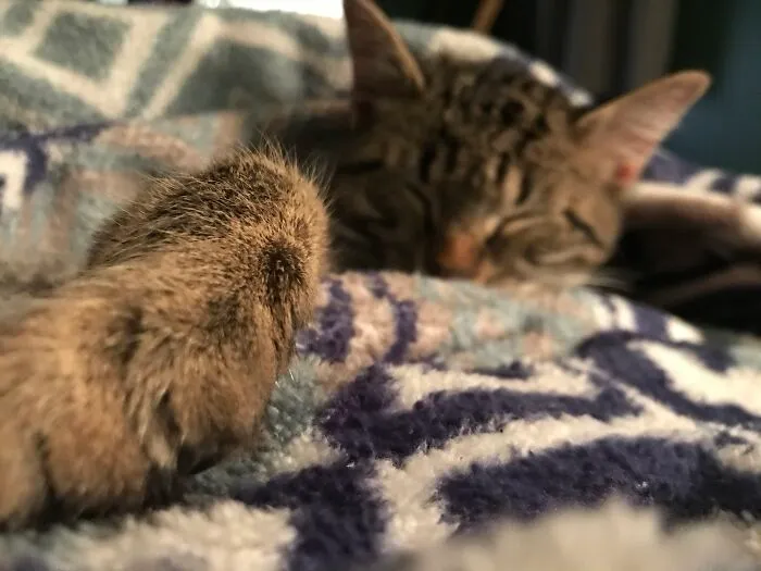 So Sleepy