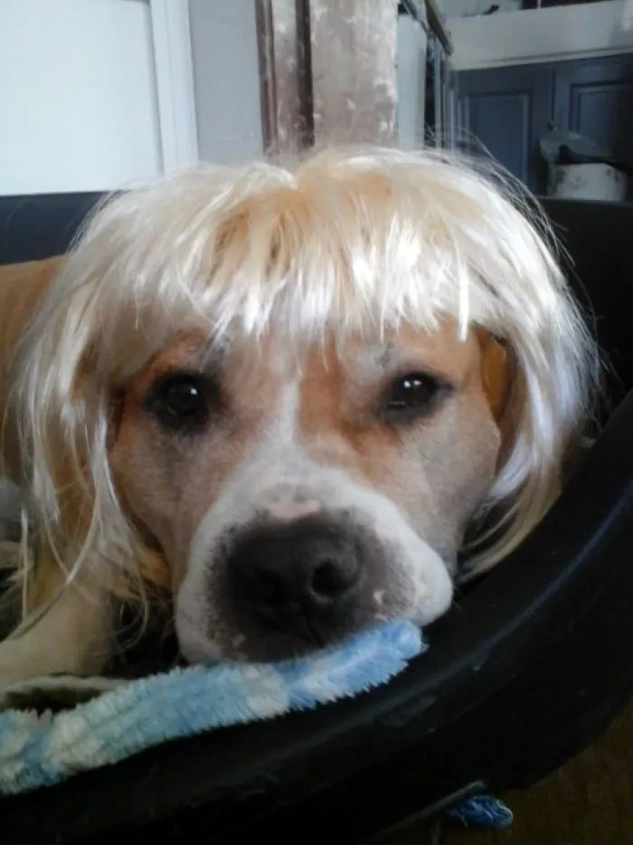 Marilyn Pawnroe