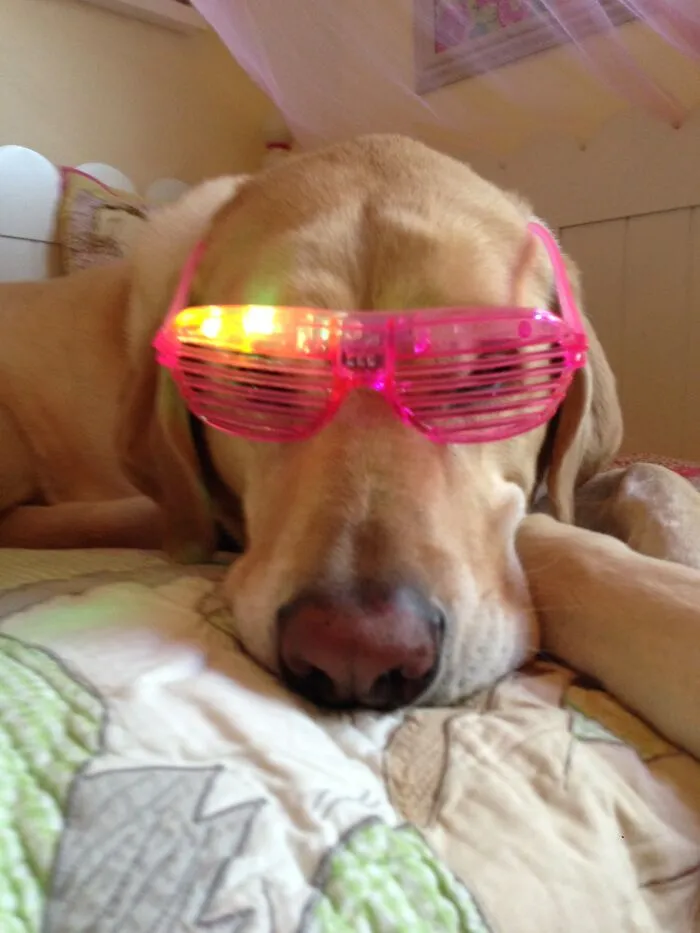 Party Glasses!