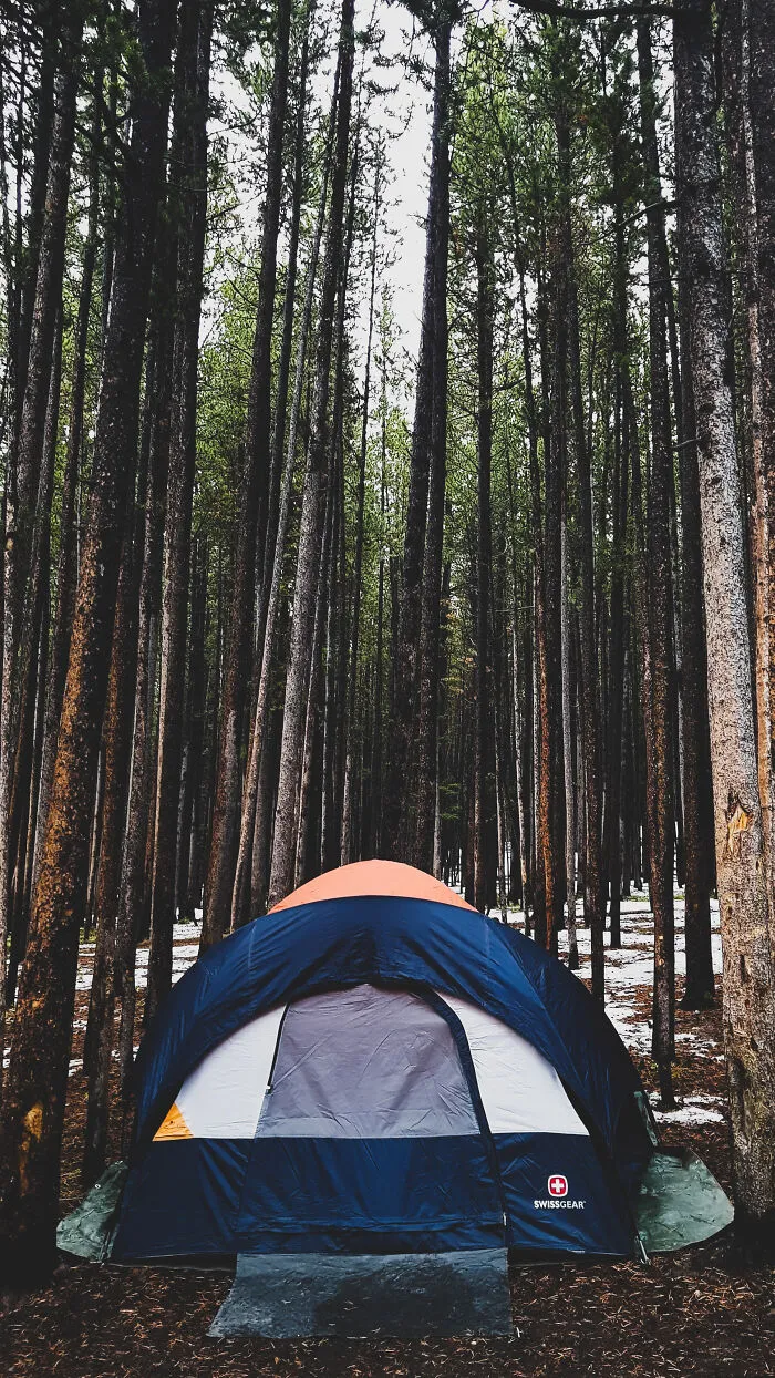 The Best Memory... When It Was Ok To Go Out... Yellowstone 2019