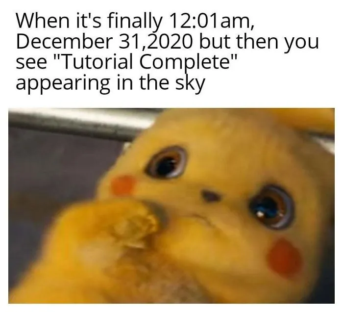 Meme About 2020