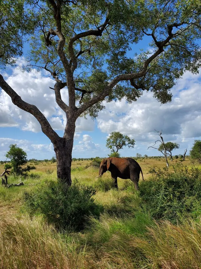 Kruger National Park