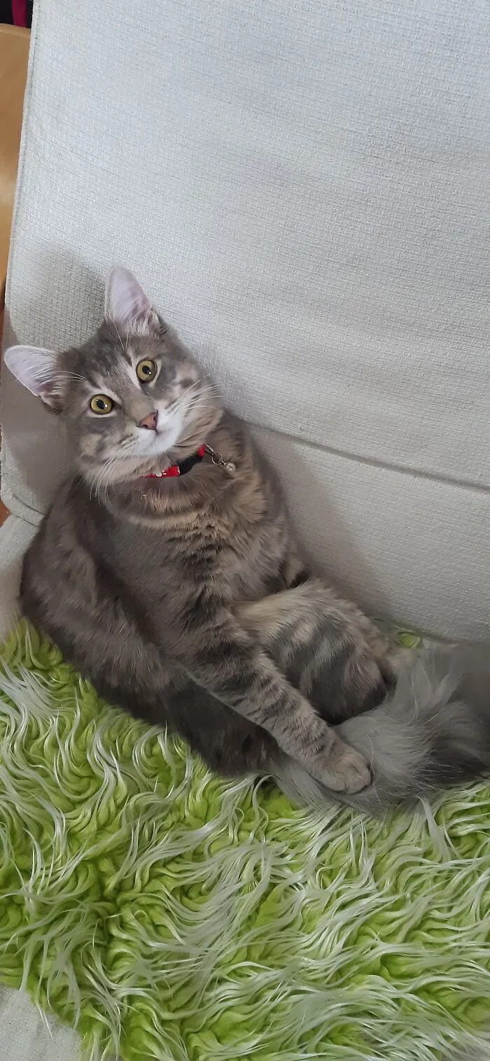 Imma Sittin'