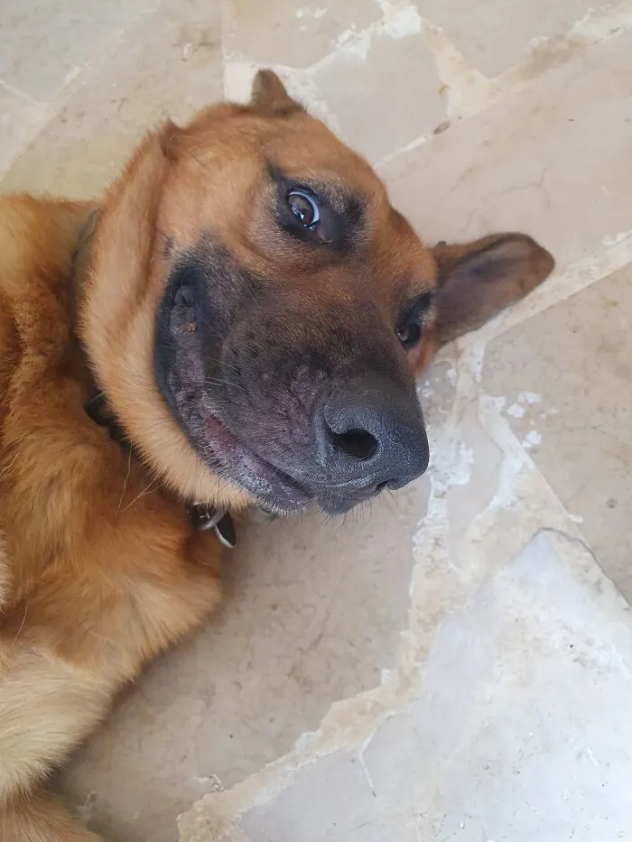 Oscar :)