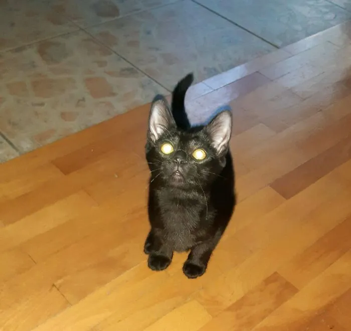 I Am Dangerous!