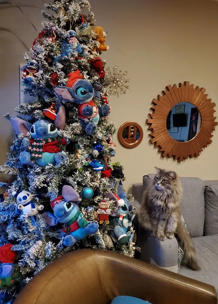 Jack Meowington  Likes To Death Stare At My Stitchmas  Tree Every Year