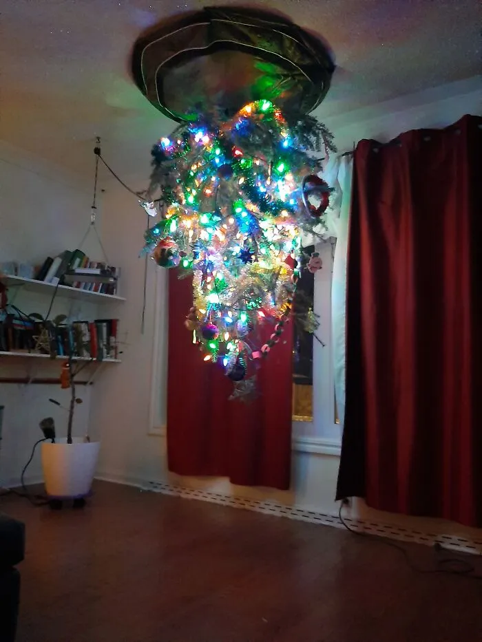 2020 Has Been An Upside Down Kinda Year... Why Not?!