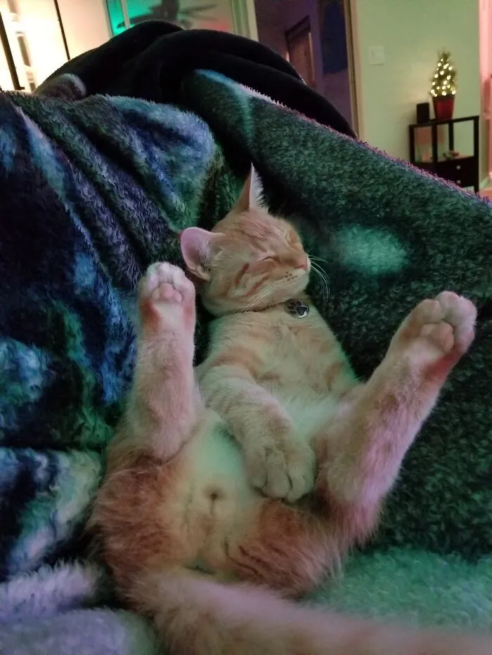 My Sleepy Little October...