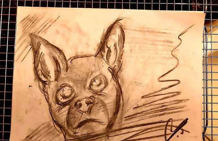 Chihuahua