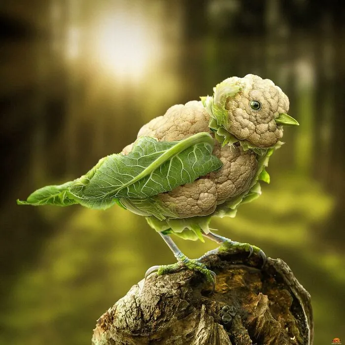 Here Are 66 Surreal Photoshops That Combine Completely Different Objects