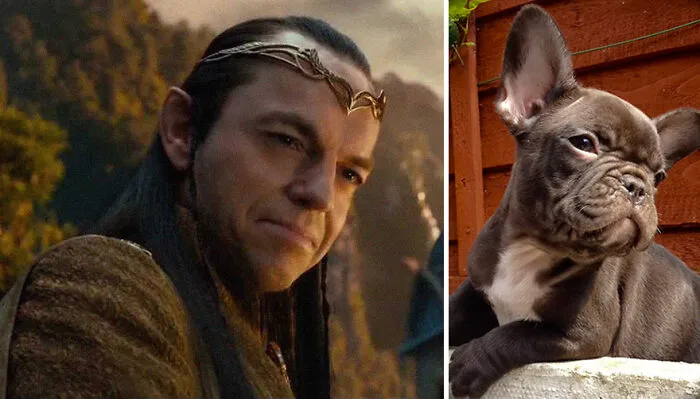 Elrond
