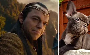 What If Lord Of The Rings Was All Dogs? This Twitter Thread Has An Answer (18 Pics)