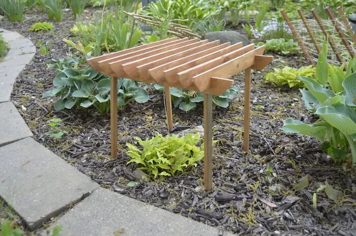 The Tiniest Pergola
