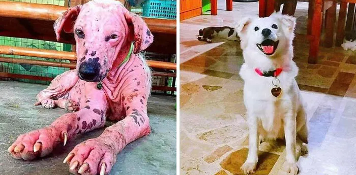 PB From The Cat House PH. Unbelievable Transformation