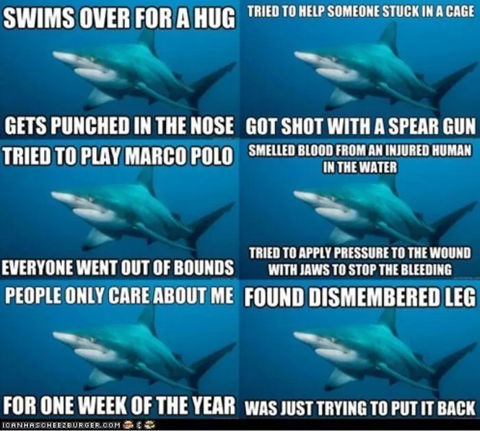 Shark Time