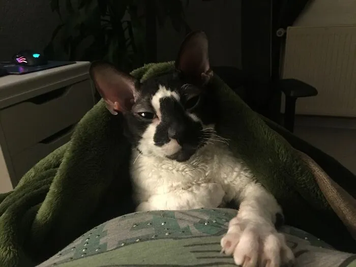 Willy Taking Cuddling-Time