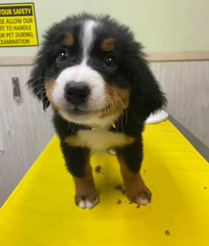 Iroh Is All Smiles For His First Vaccine