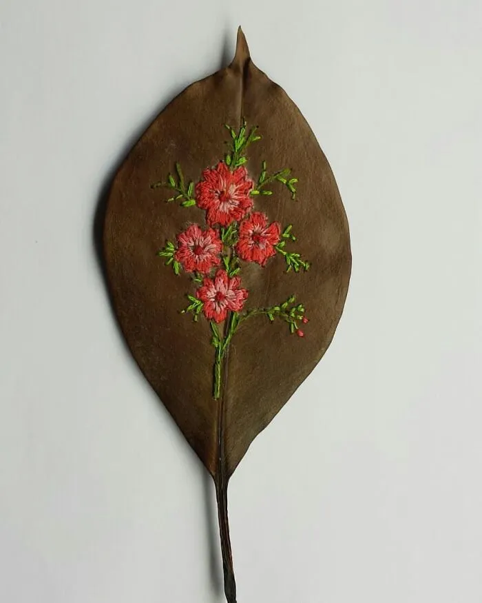 This Brazilian Artist Creates Unique Designs Of Embroidery On Fallen Leaves (109 Pics)
