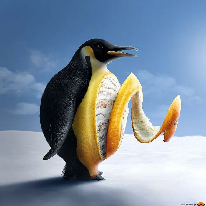 Here Are 66 Surreal Photoshops That Combine Completely Different Objects