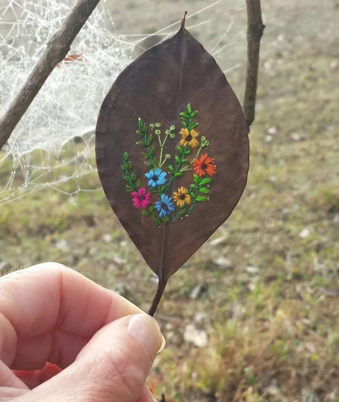This Brazilian Artist Creates Unique Designs Of Embroidery On Fallen Leaves (109 Pics)