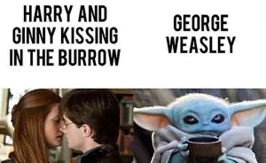 Hey Pandas, Post Your Favorite Harry Potter Meme (Closed)