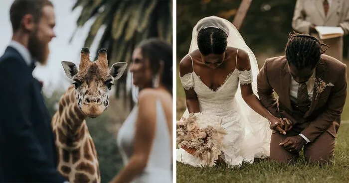 The Best Wedding Photos Of 2020 Have Just Been Announced, And Here Are The 30 Best Ones