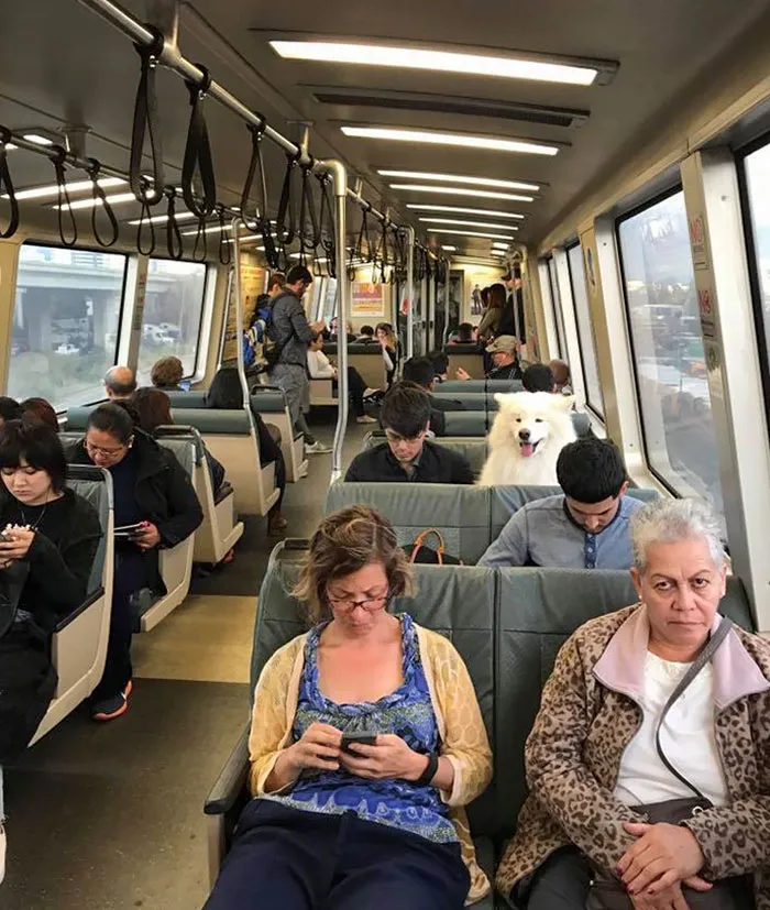 "Ahora soy un ciudadano que paga sus impuestos y toma el transporte público"