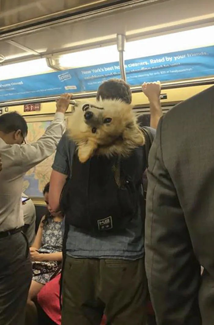 Saying Hey From The NYC Subway