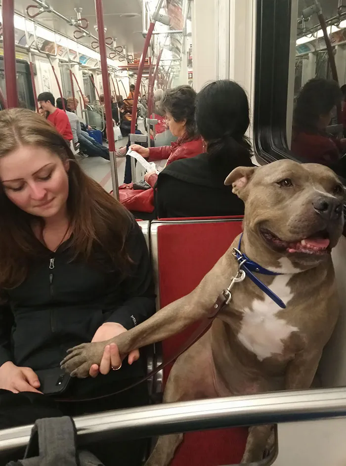 Hizo que ella le tomara la mano en el metro