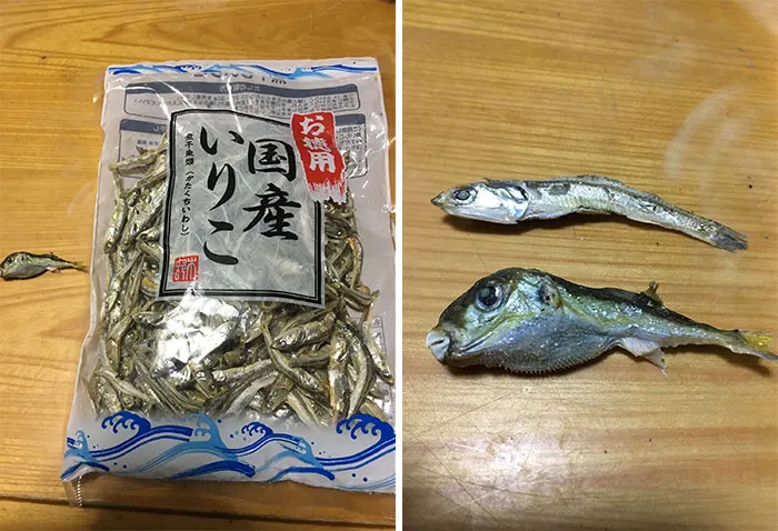 (Very) Poisonous Fugu Fish, Now Free With Your Dried Anchovies!