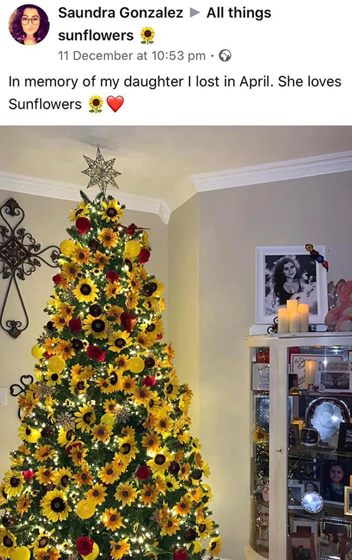 Nicest Christmas Tree I’ve Seen Yet