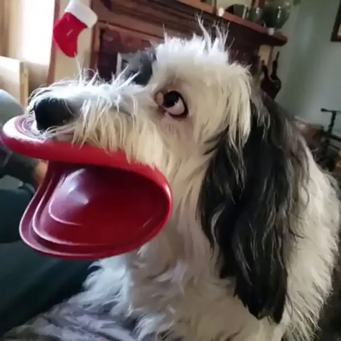 ¿Estoy guapo?