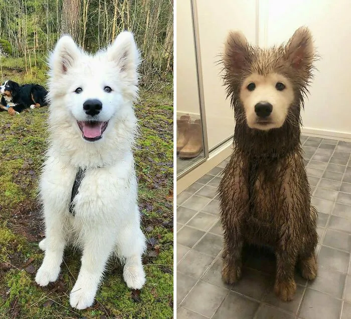 Antes y después de jugar