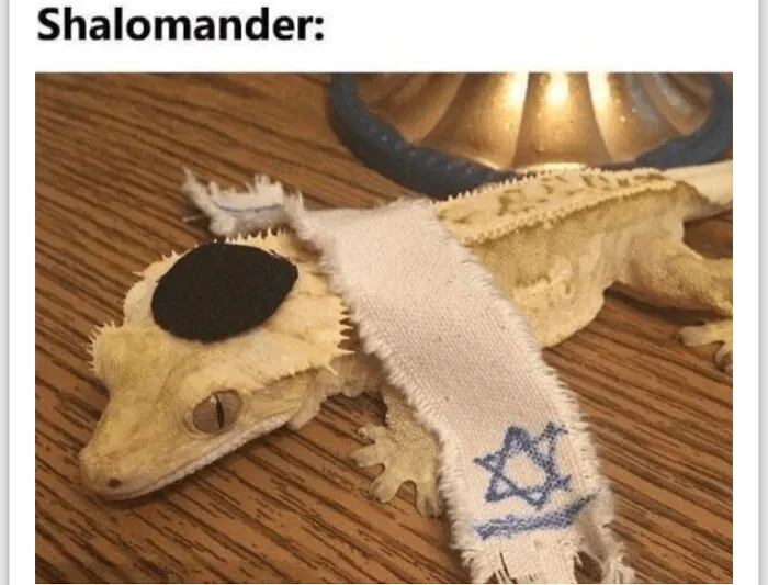 Happy Channukah