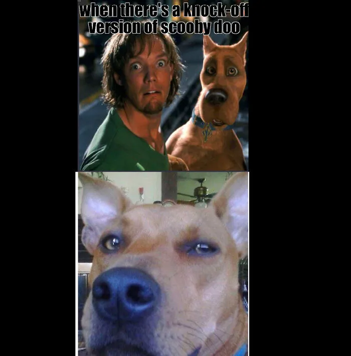 I Don’t Know If This Makes Any Sense (This Is My First Time Creating A Meme)