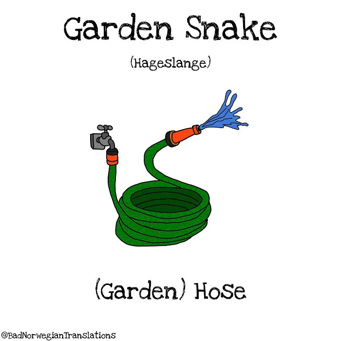 40 Brilliantly Literal Norwegian Words That Say Exactly What They Mean Illustrated By Me
