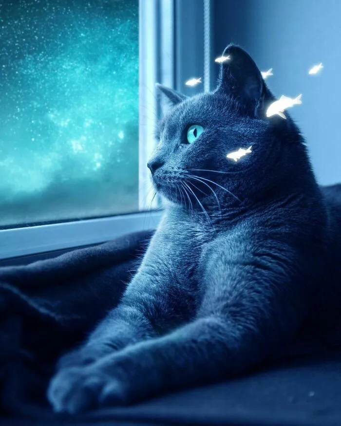 78 Surreal Digital Manipulations From The Artist Behind The Photoshop 2021 Splash Photo