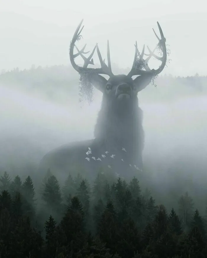 Forest Queen