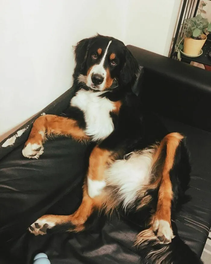 How You Doin’?