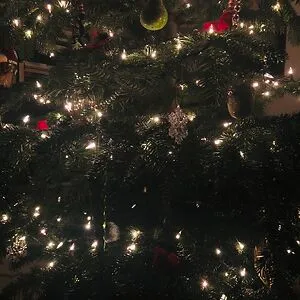 alex but festive