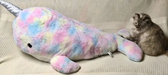 Narwhal Plush!