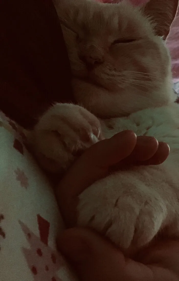 Not Weird But Still She Doesn’t Normally Sleep Like This
