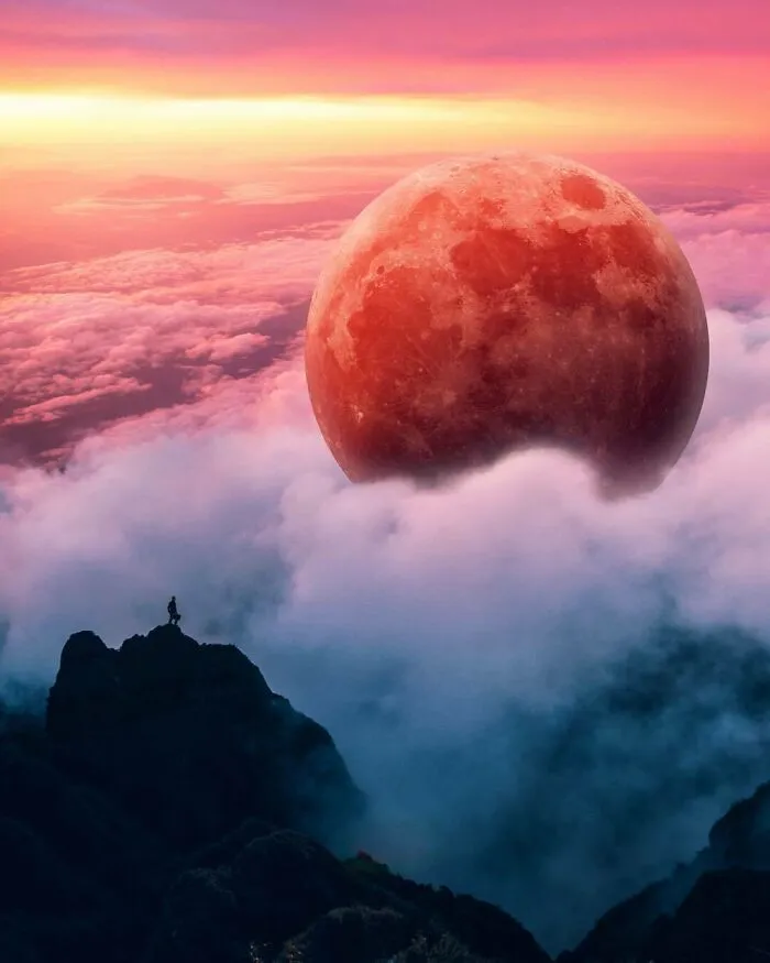 78 Surreal Digital Manipulations From The Artist Behind The Photoshop 2021 Splash Photo