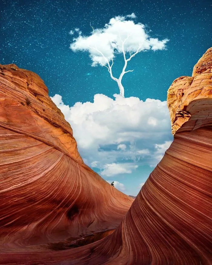 Head In The Clouds