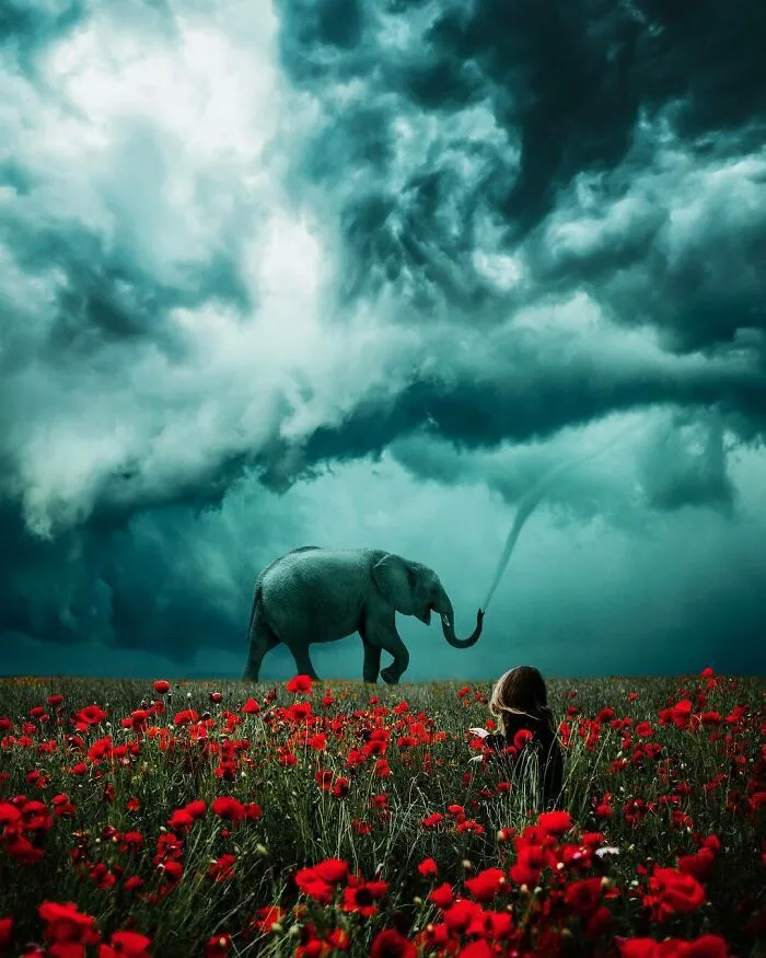 Elephant Trunk Tornado