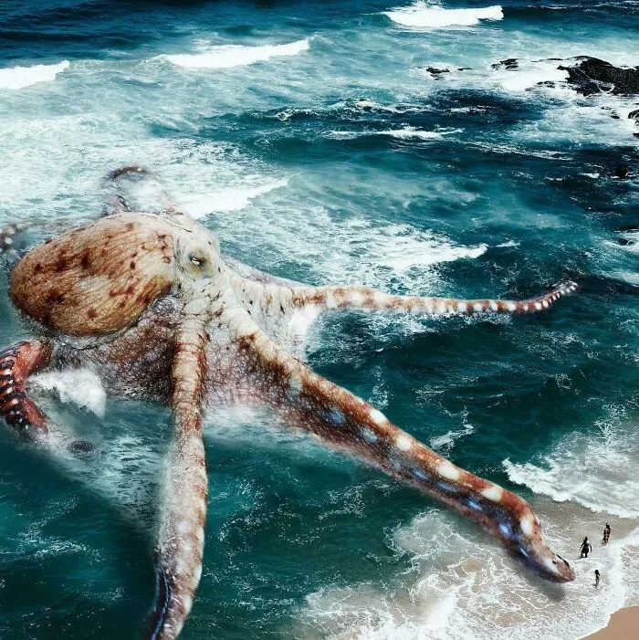 Release The Kraken