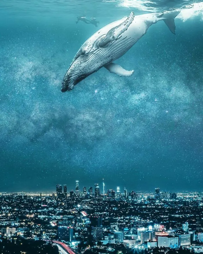 78 Surreal Digital Manipulations From The Artist Behind The Photoshop 2021 Splash Photo